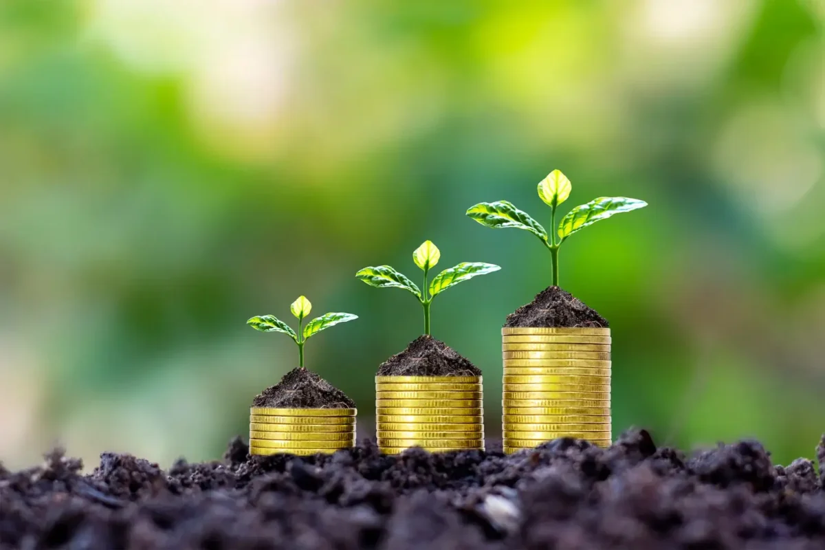 Petites plantes poussant sur des piles de pièces de monnaie, symbolisant la croissance financière et les subventions aux entreprises.